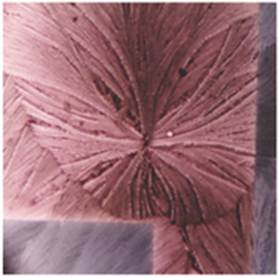 Thumbnail image of graphical abstract